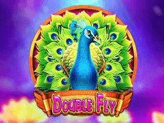Double Fly game icon